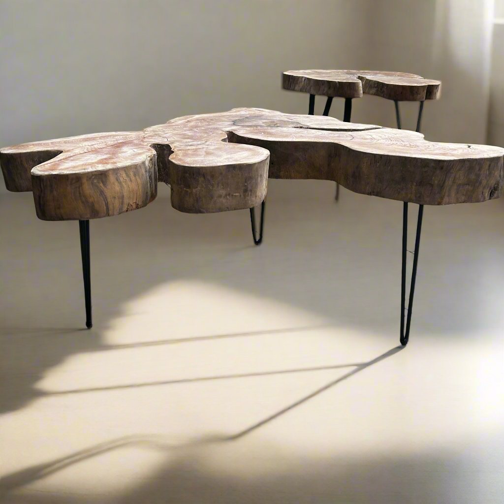 Raw Wood Curvy Coffee Table